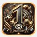 TOP1体育